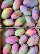 Lade das Bild in den Galerie-Viewer, Mango Osteen 4,5 kg
